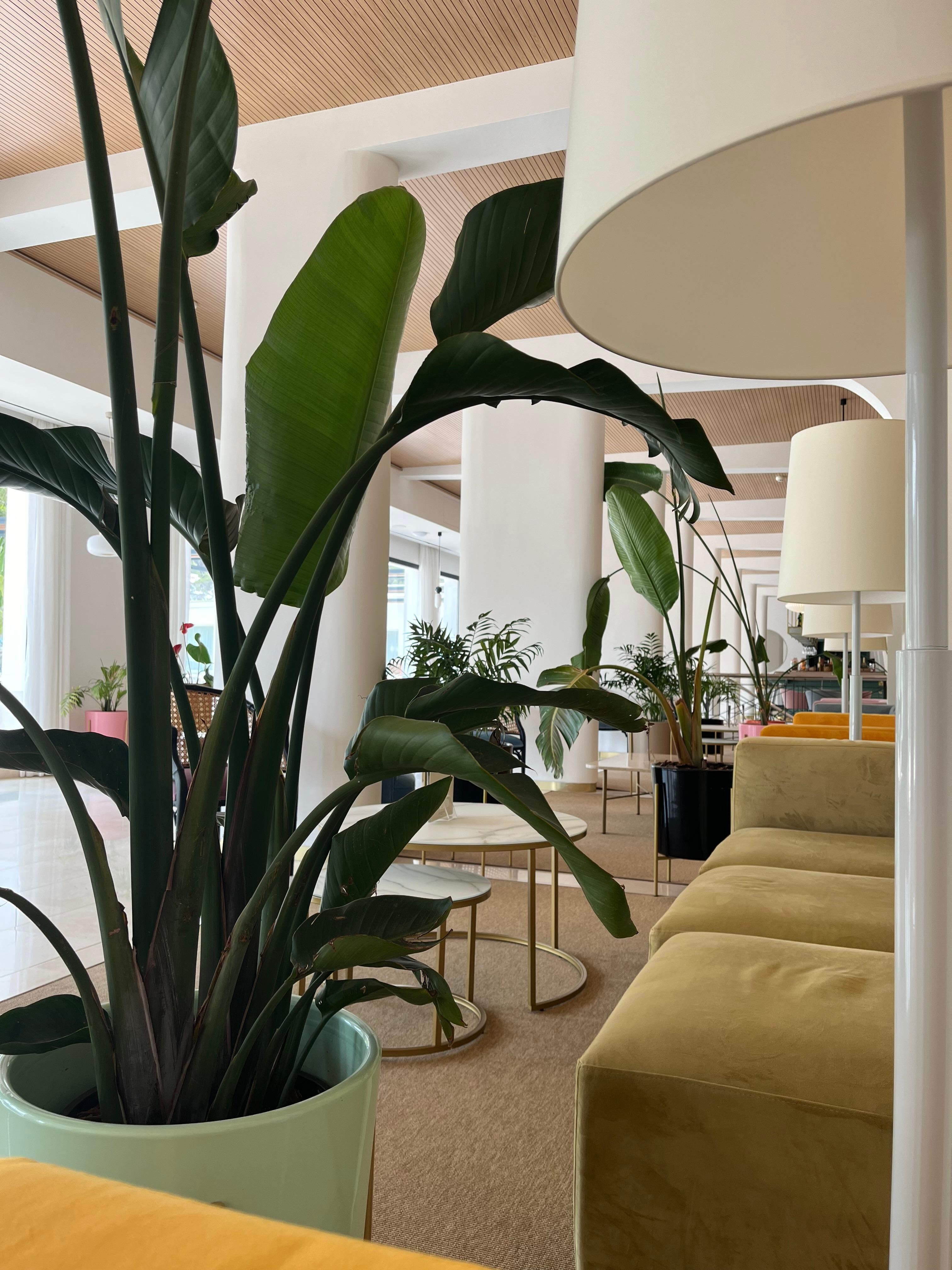 Bar area 