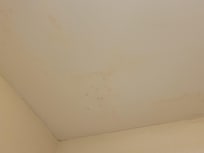 Mold