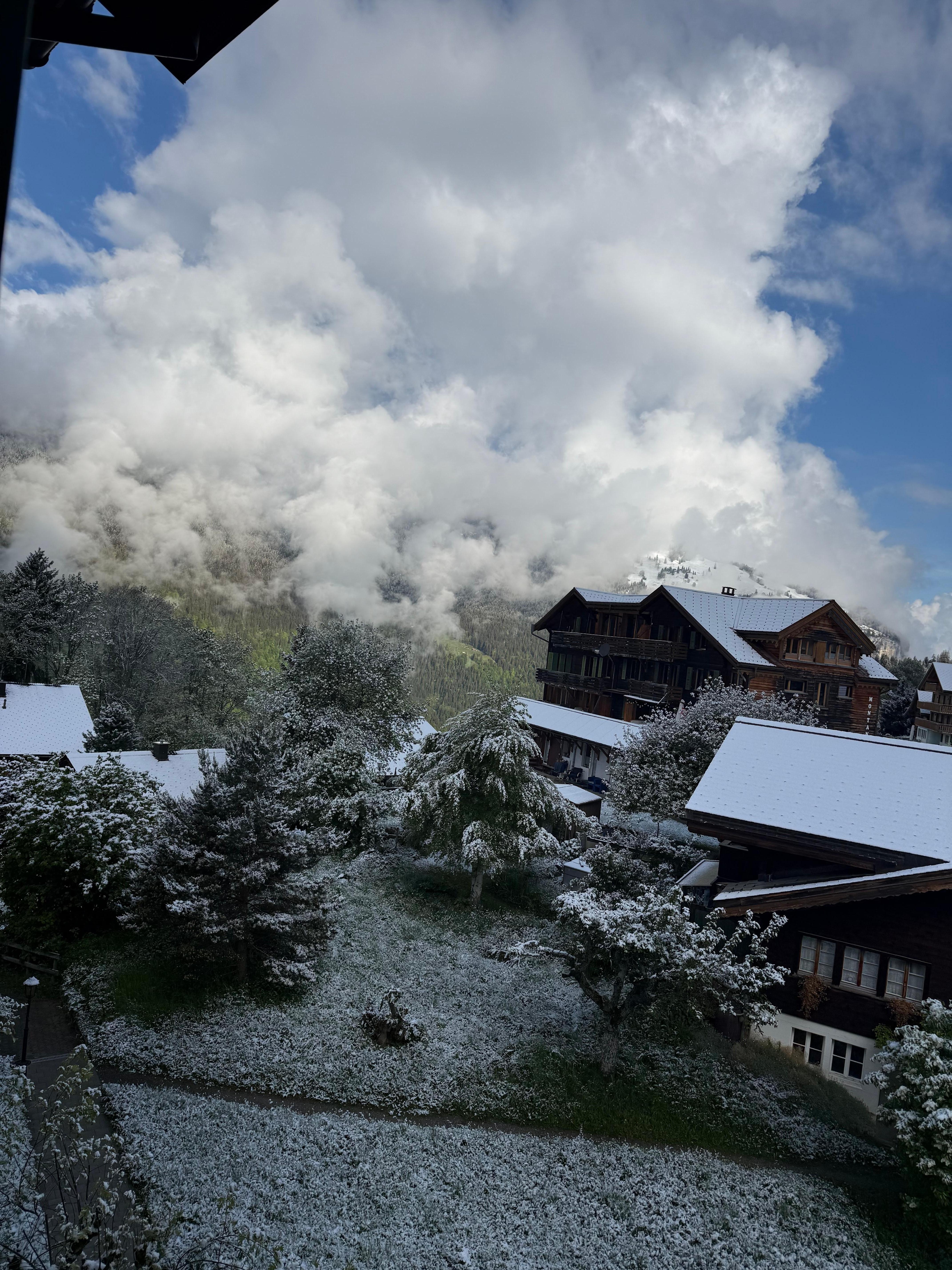 View from room