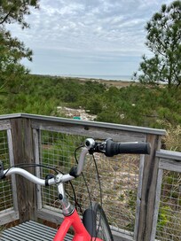 Henlopen State Park