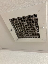Vent in bathroom