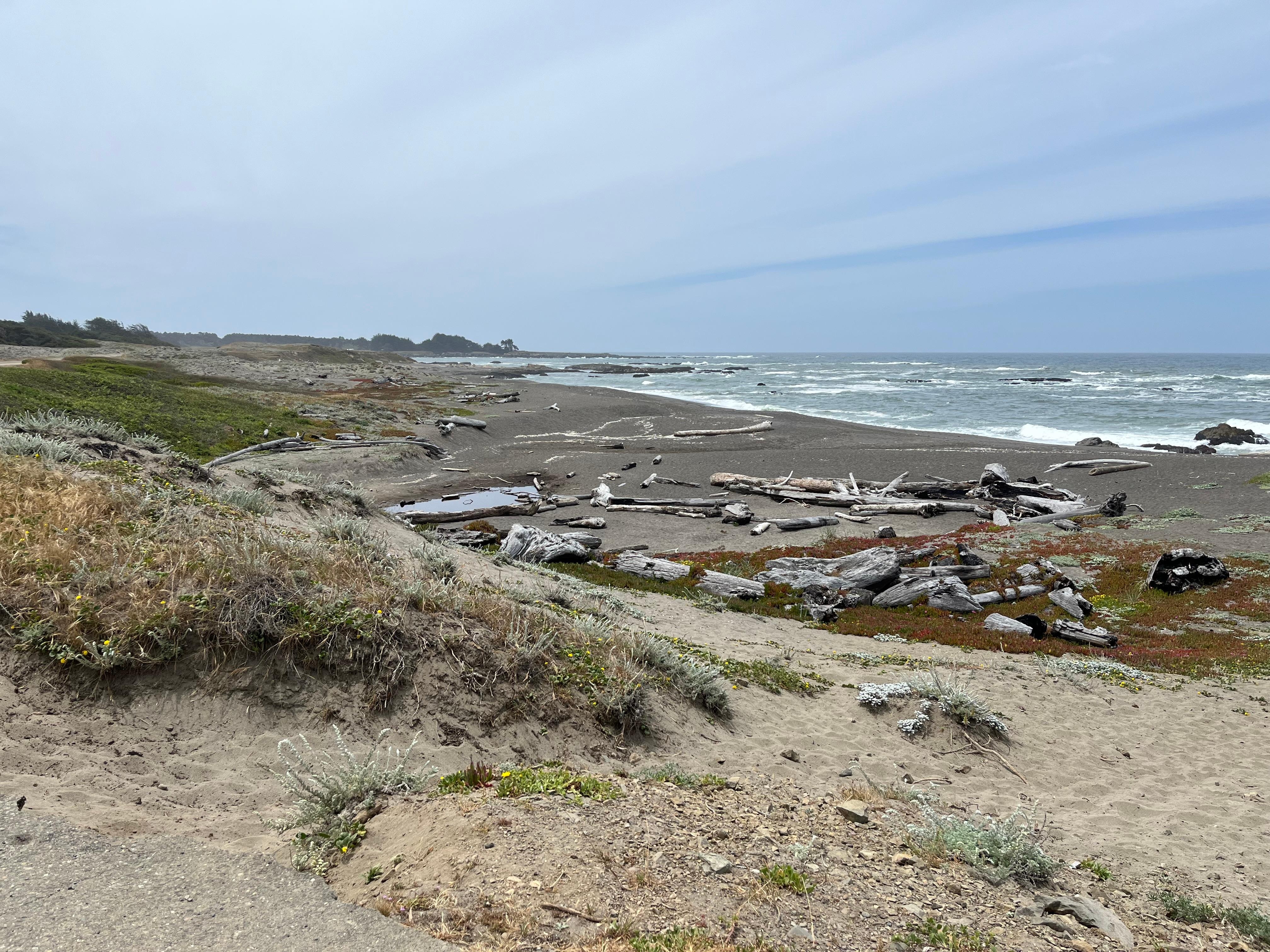 MacKerricher Park is close by.