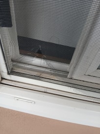 Torn window screen