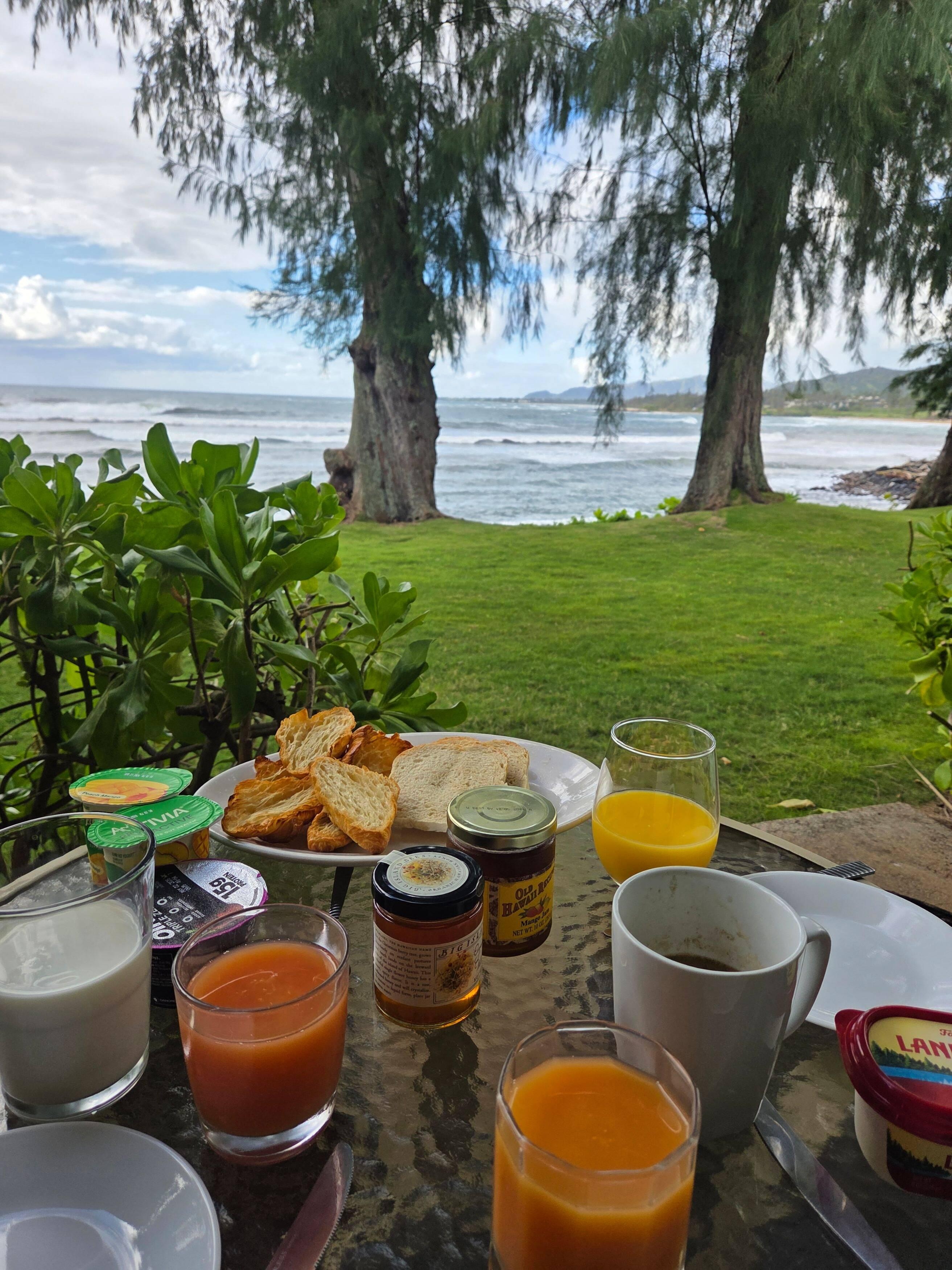 Breakfast with a view! 