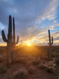 Trails from across the property