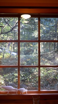 Rundumfensterbllick 1