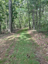 Walking trail