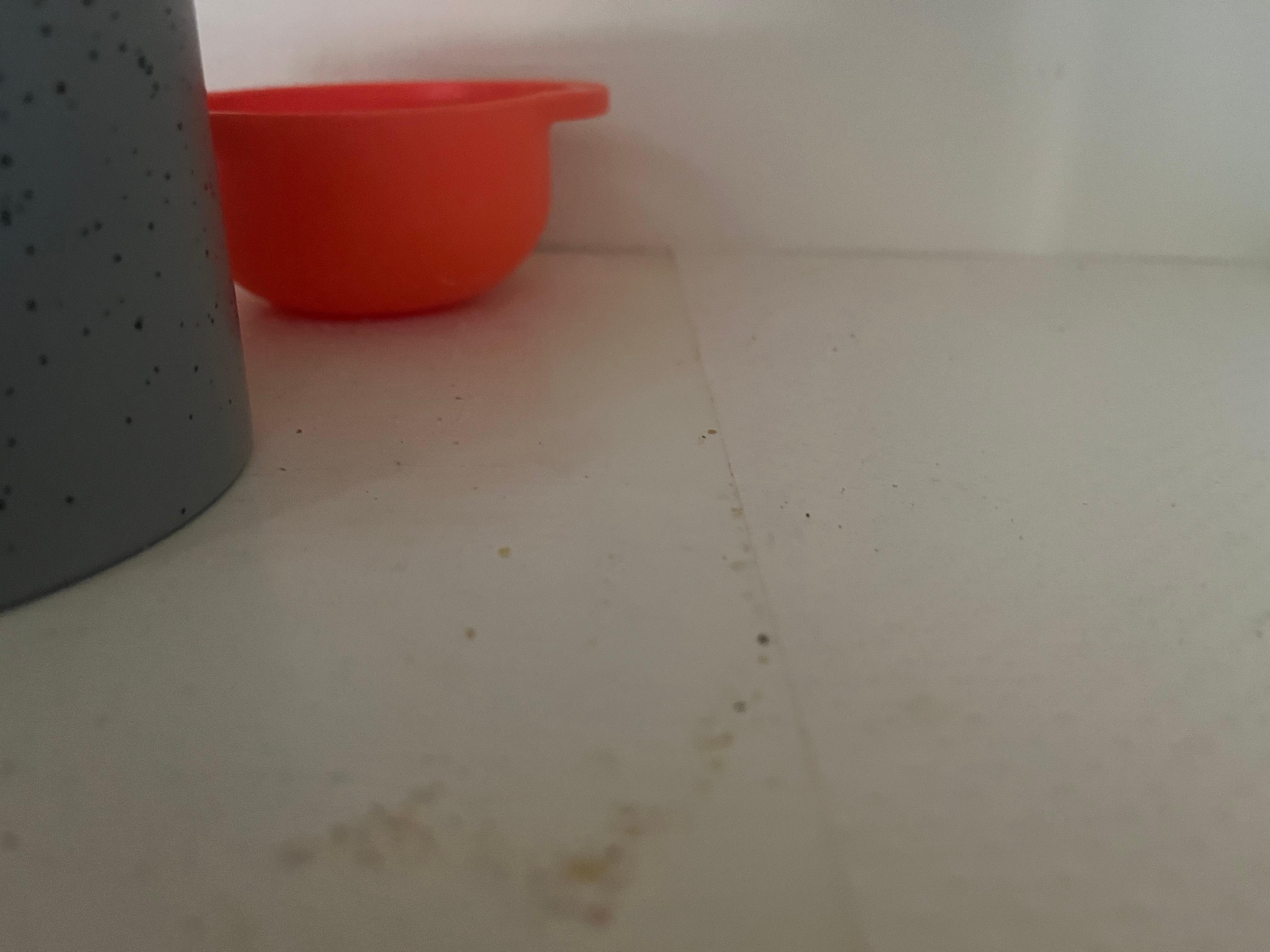 Crumbs in cabinet
