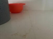 Crumbs in cabinet