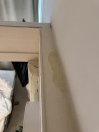 Moisture in the walls and a lack of cleaning