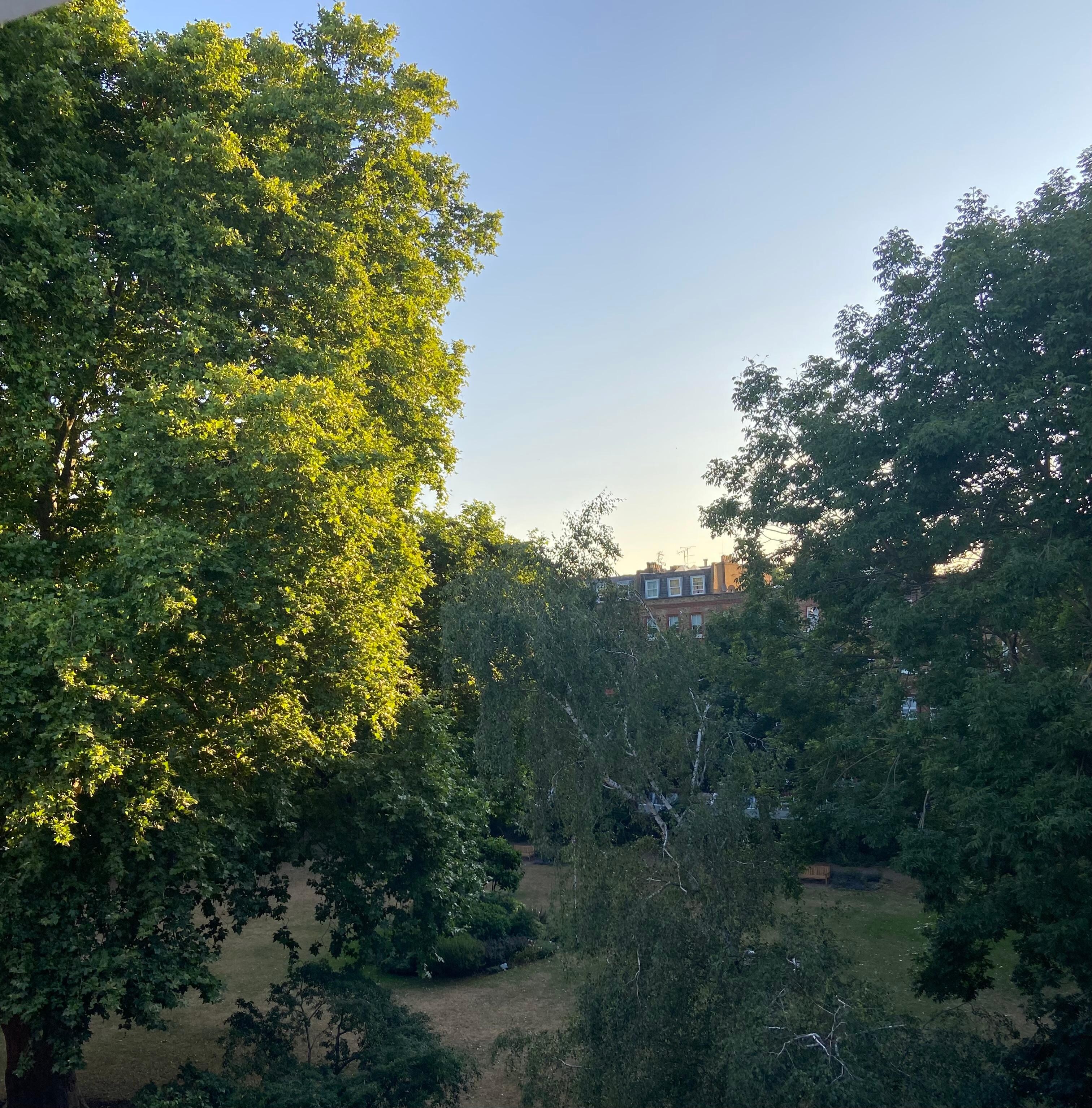 View out of front room window to the park