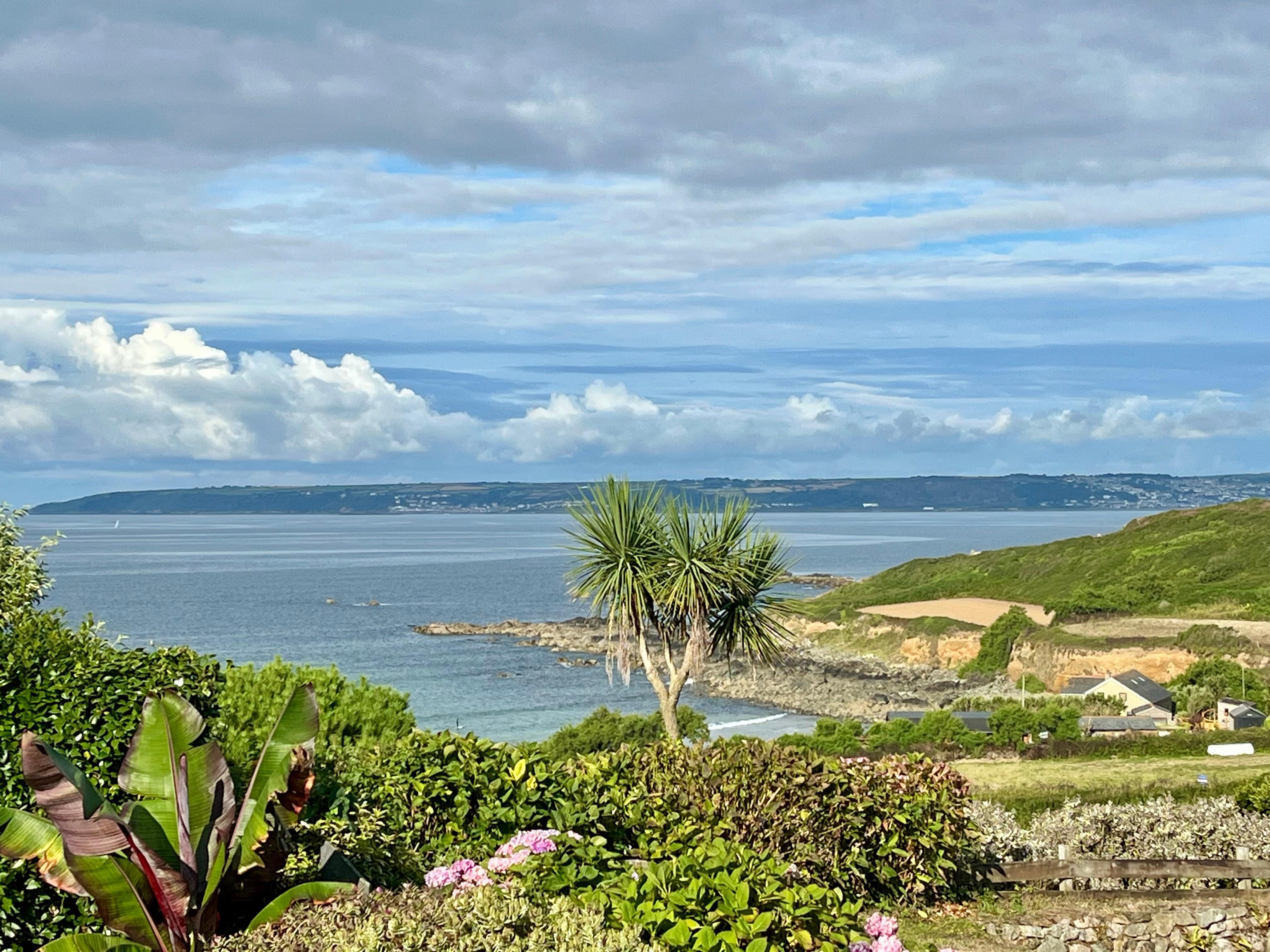 View from the terrace