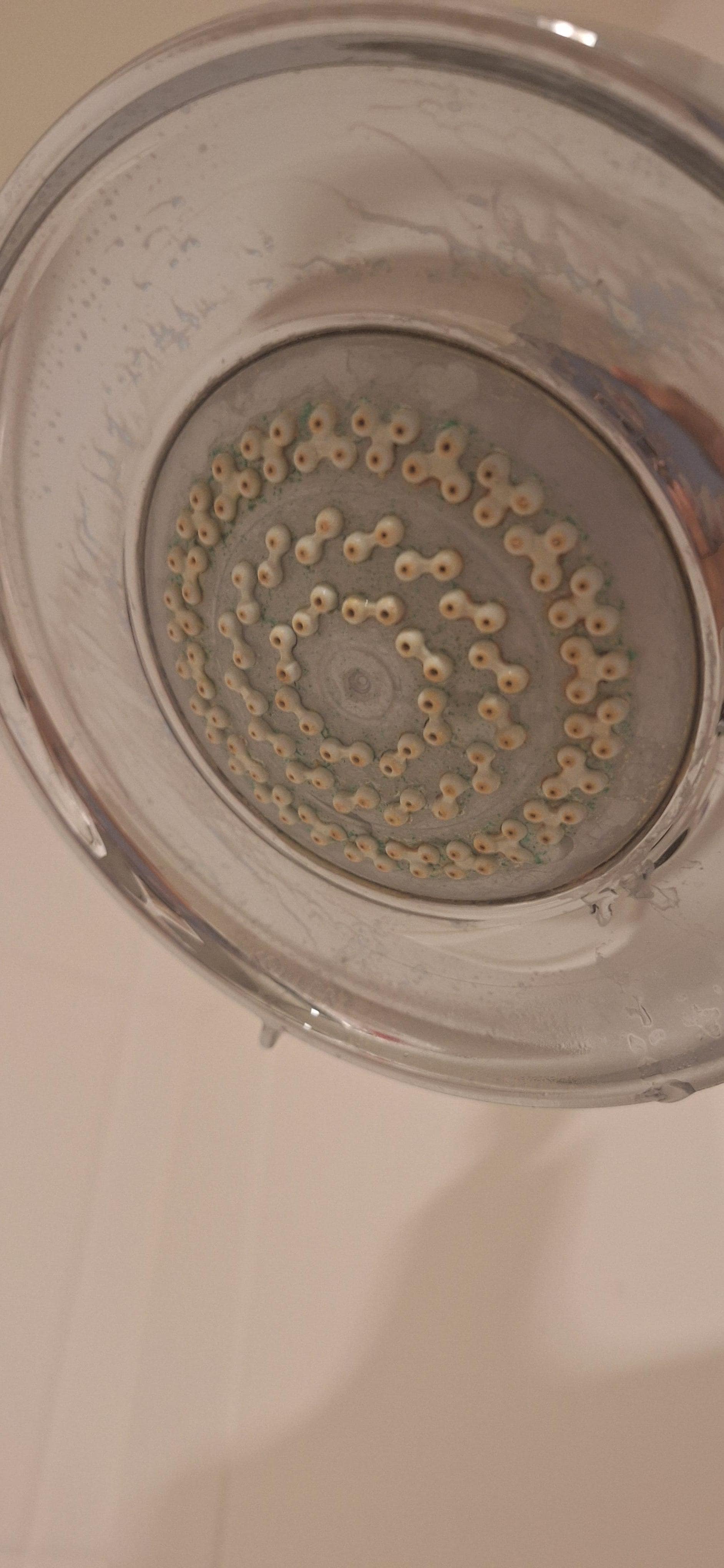 Shower head needs proper cleaning or replacement 