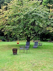 Blick in den Garten