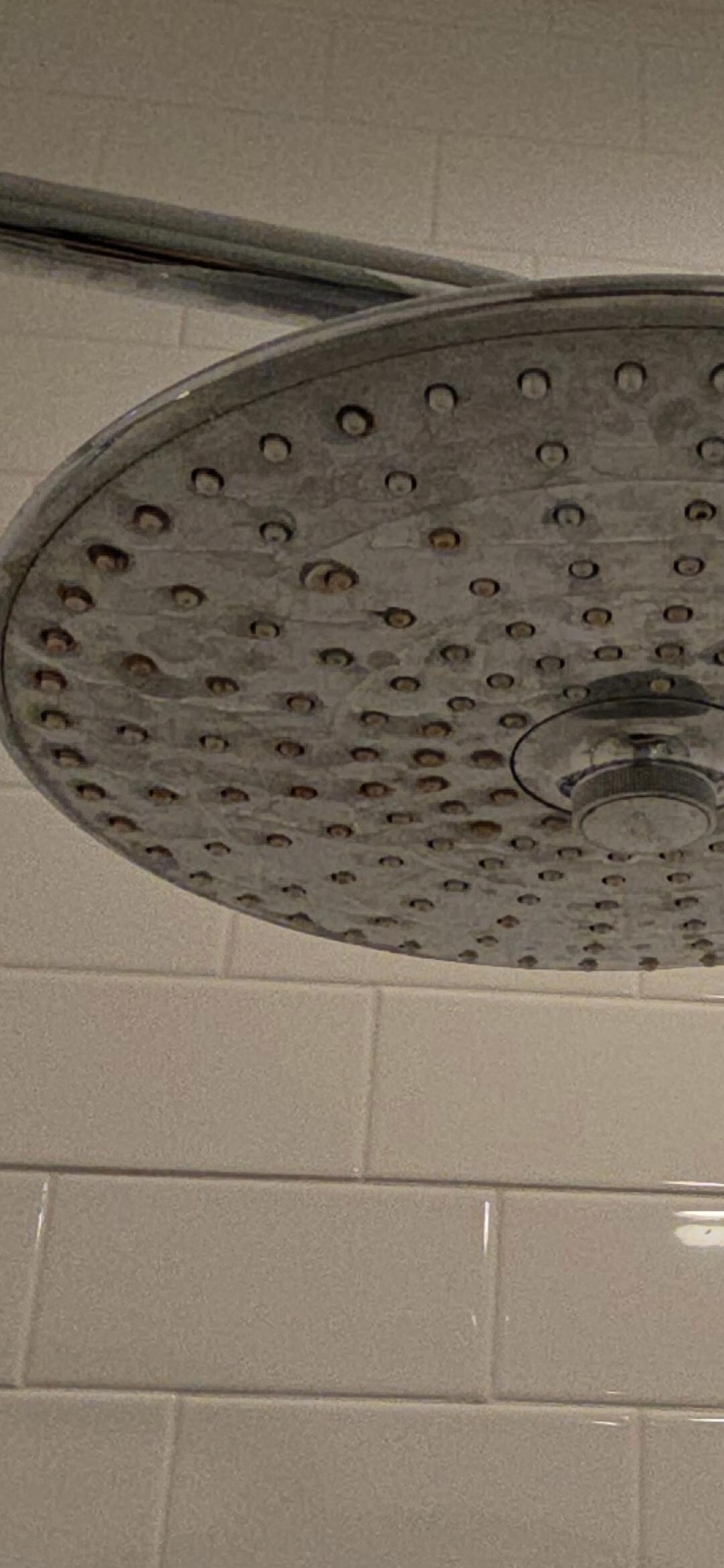 Rusty showerhead