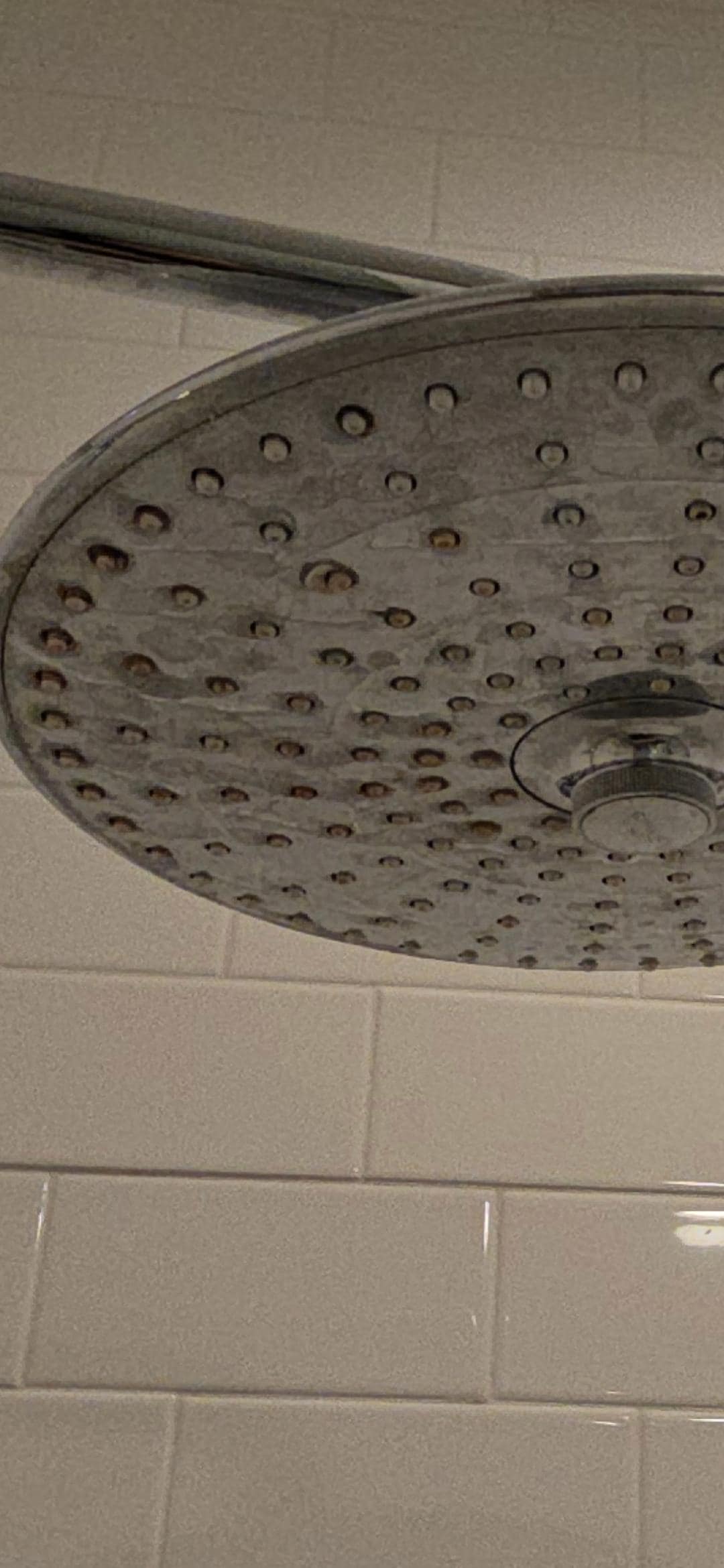 Rusty showerhead