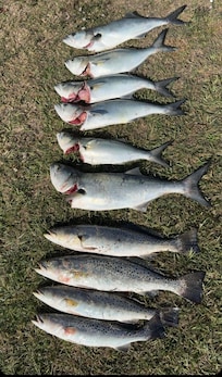 Our catch for the day!!