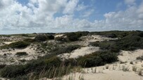Dune view in NWR