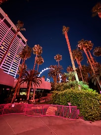 The Habitat area and highroller at night