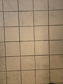 Bathroom floor. Tile is supposed to be white but was covered with black dirt. I cleaned a few tiles in this picture to show contrast. The black is not part of the tile design!