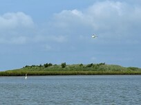 The Edwin Forsythe nature preserve