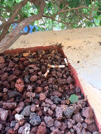 Resort it’s supposed to be non-smoking , yet cigarette butts in balcony.