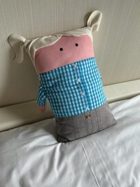 C’est un mignon oreiller !