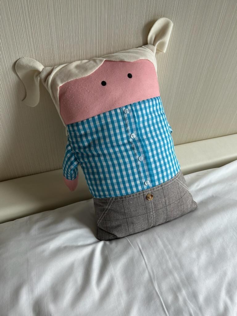 C’est un mignon oreiller !