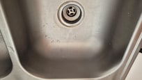 mouse feces in the kitchen sink
