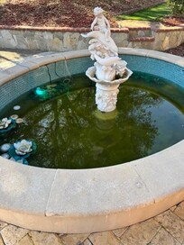 Fountain not working with Algae and Larvae.