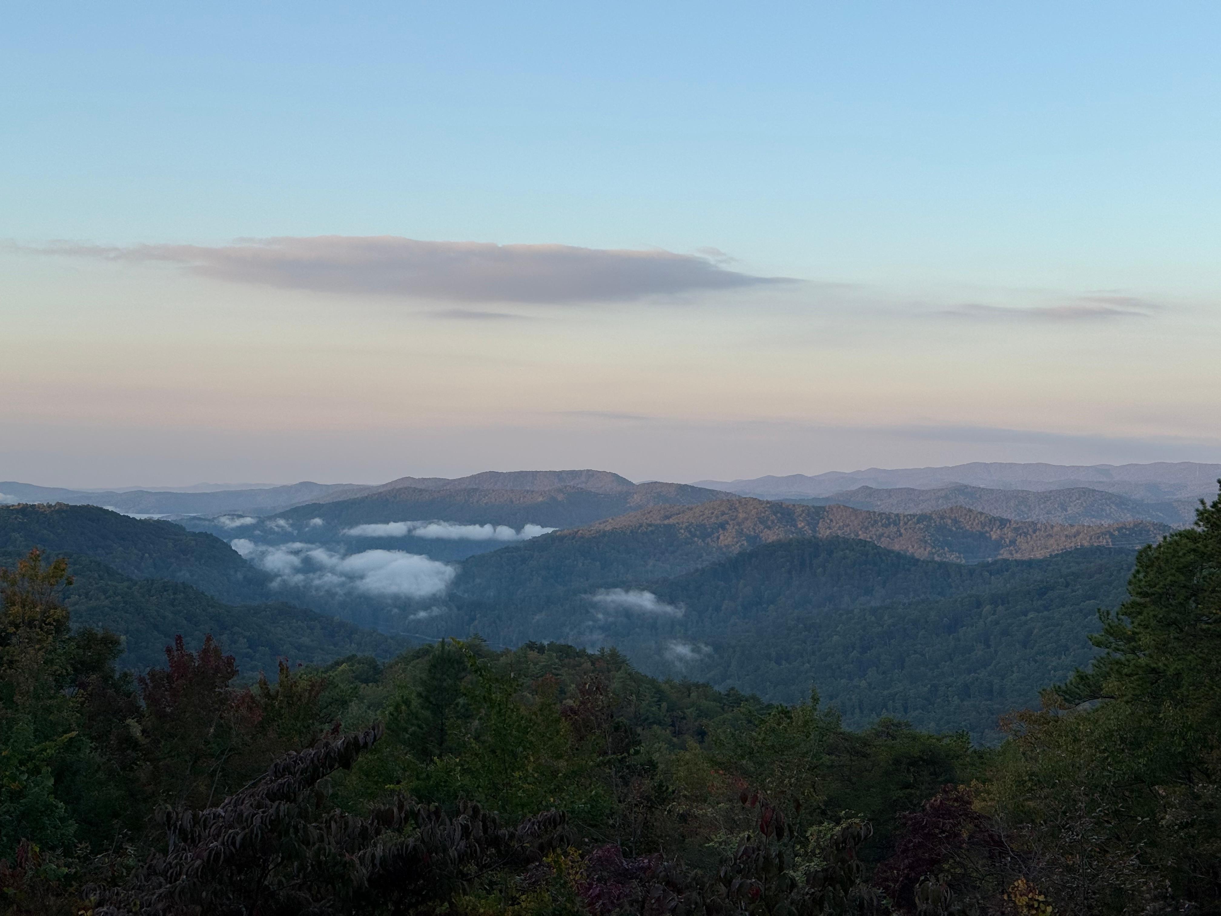 Morning view from the porch. 