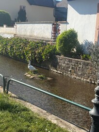 A canal runs through the town