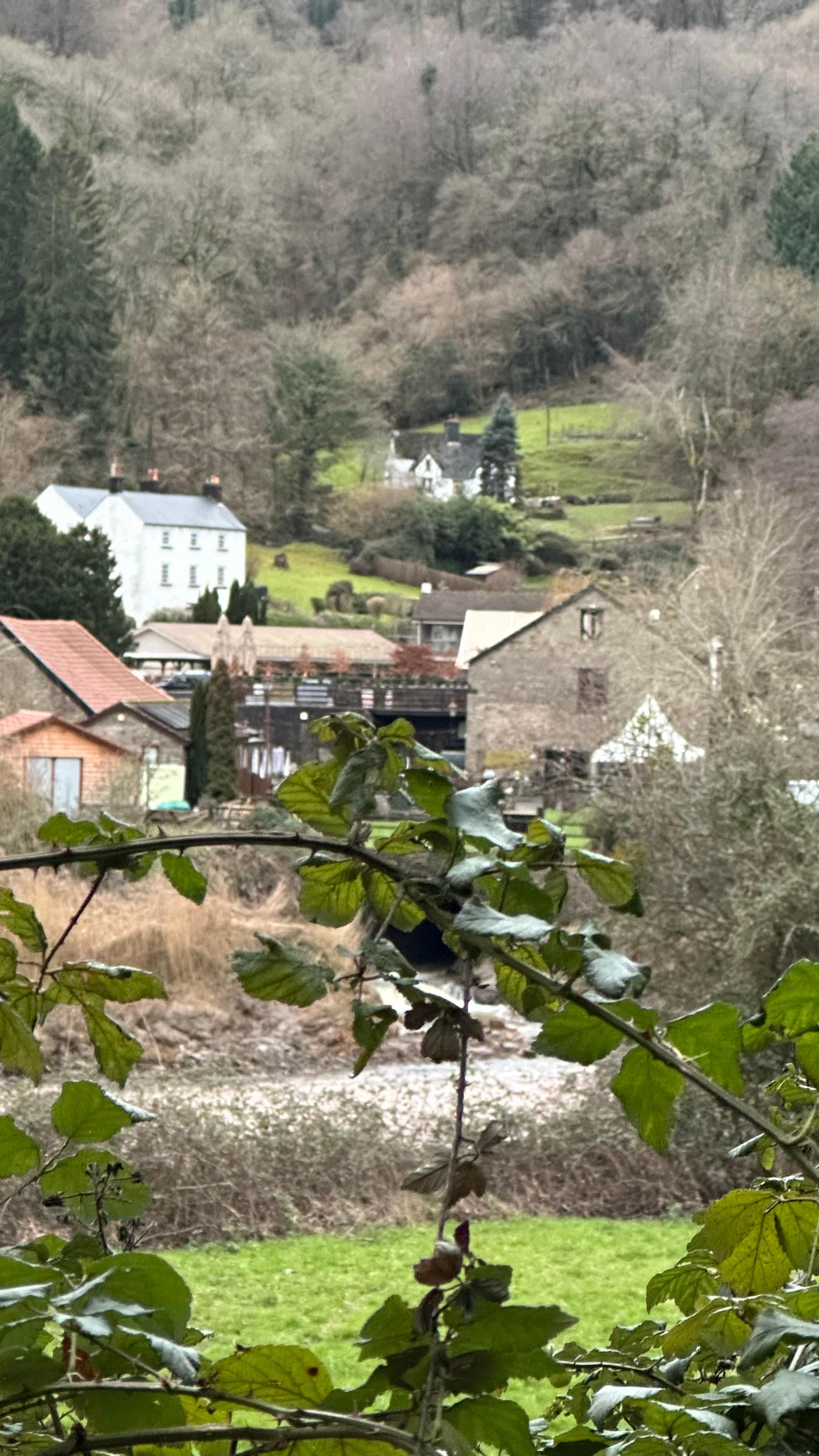 A glimpse of Tintern 