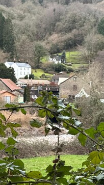 A glimpse of Tintern