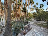 Walkway in the oasis