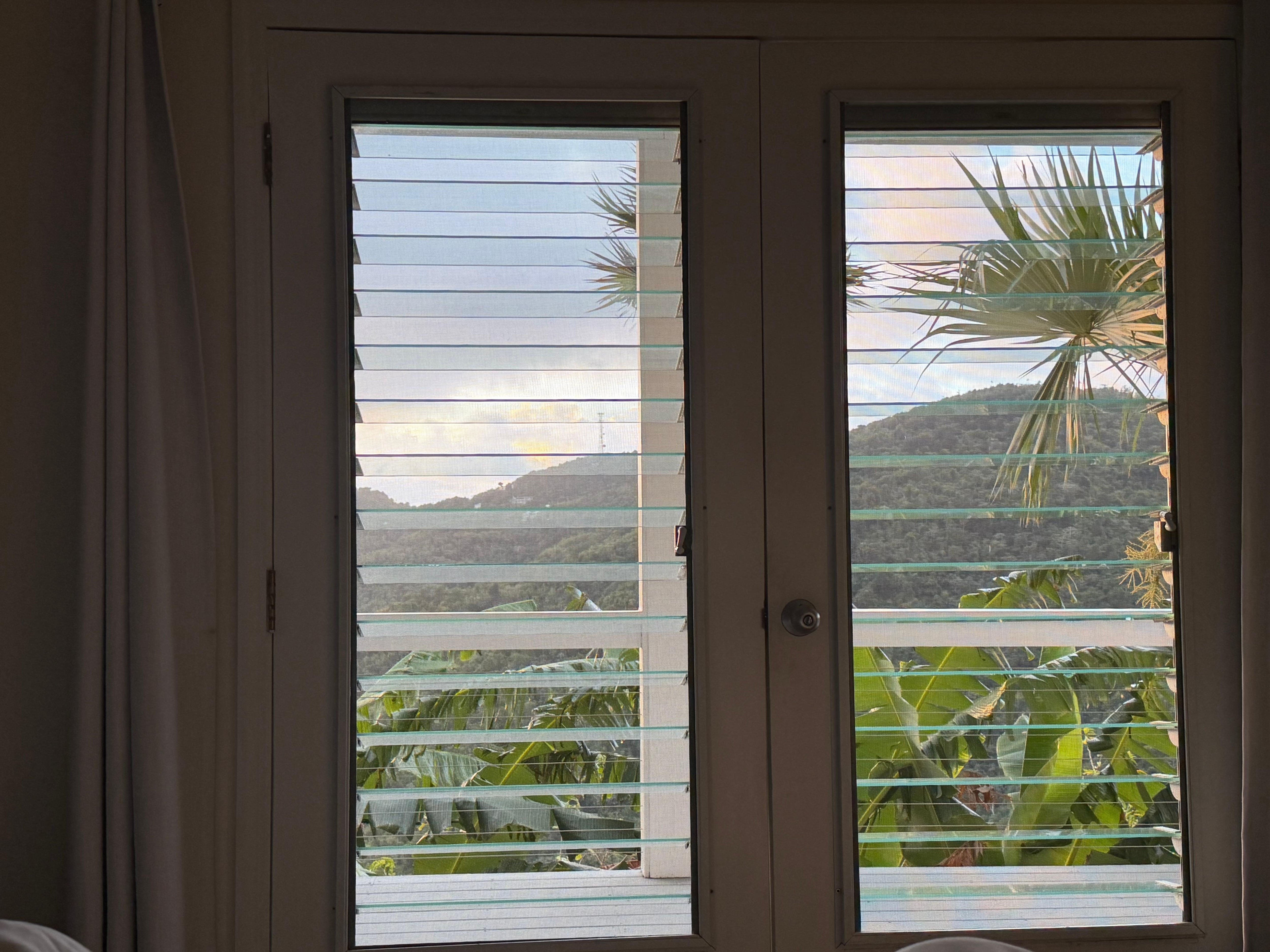 View from lower bedroom in the morning 