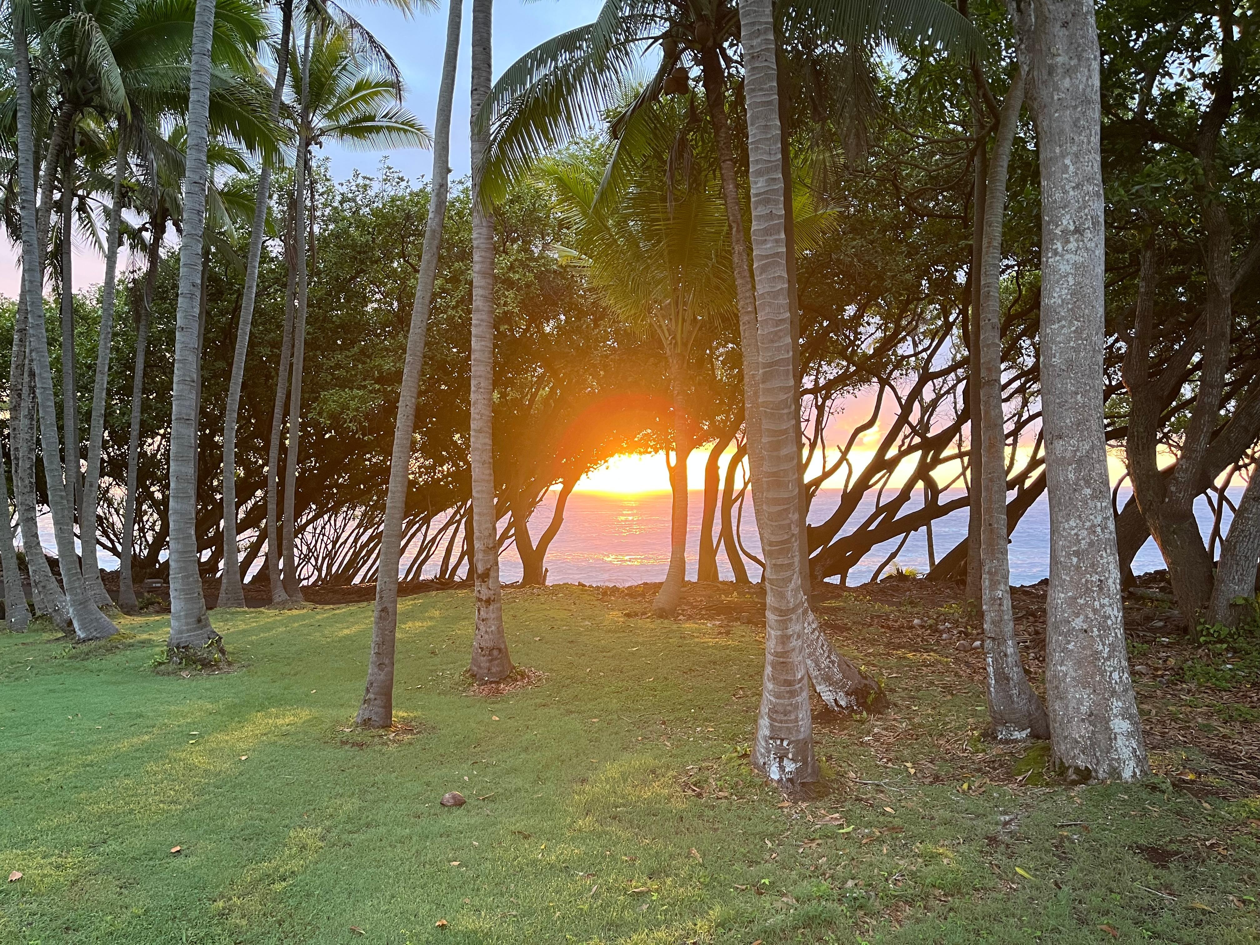 The sunrise from the front porch. 