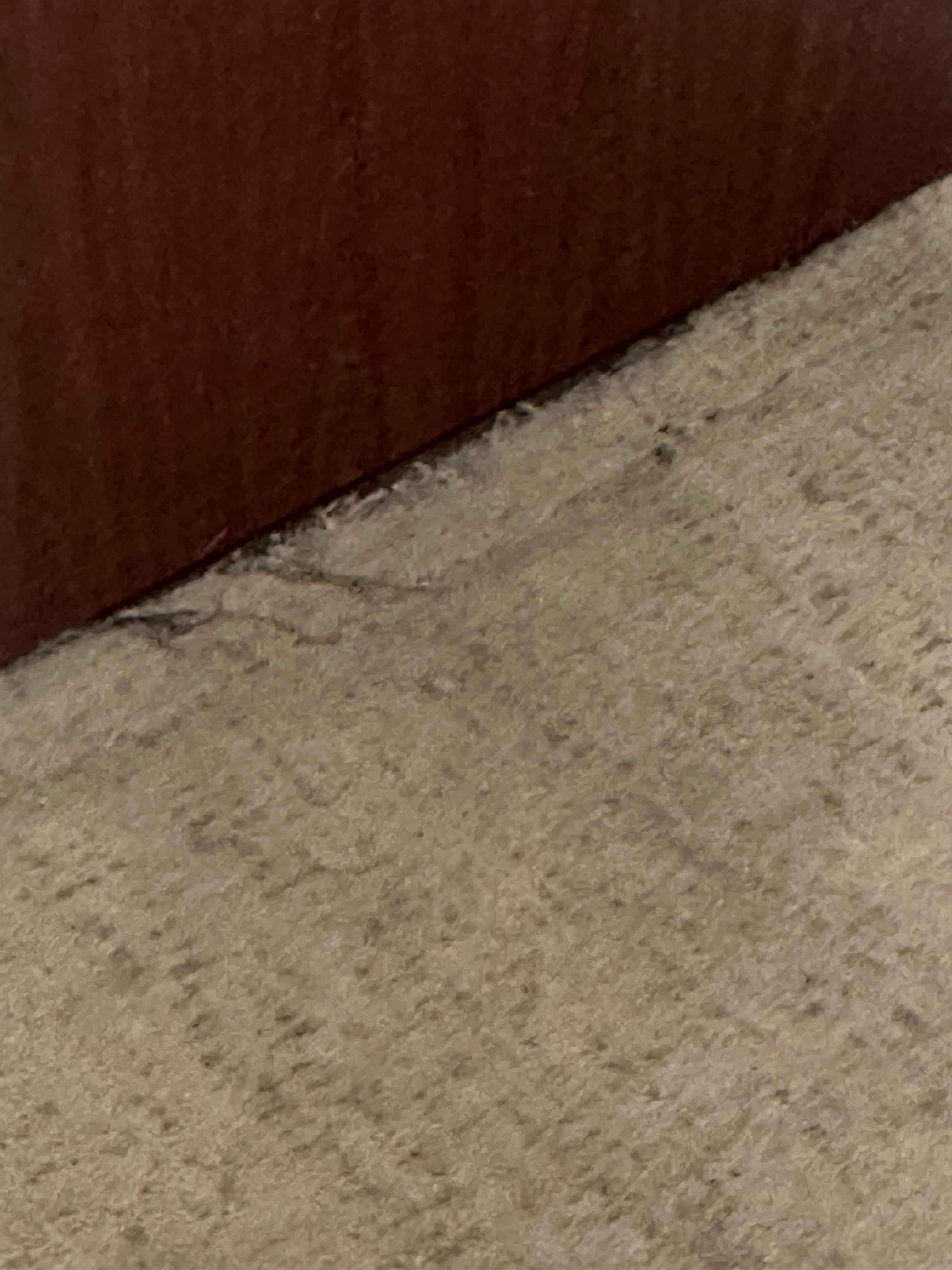 Carpet in room very worn