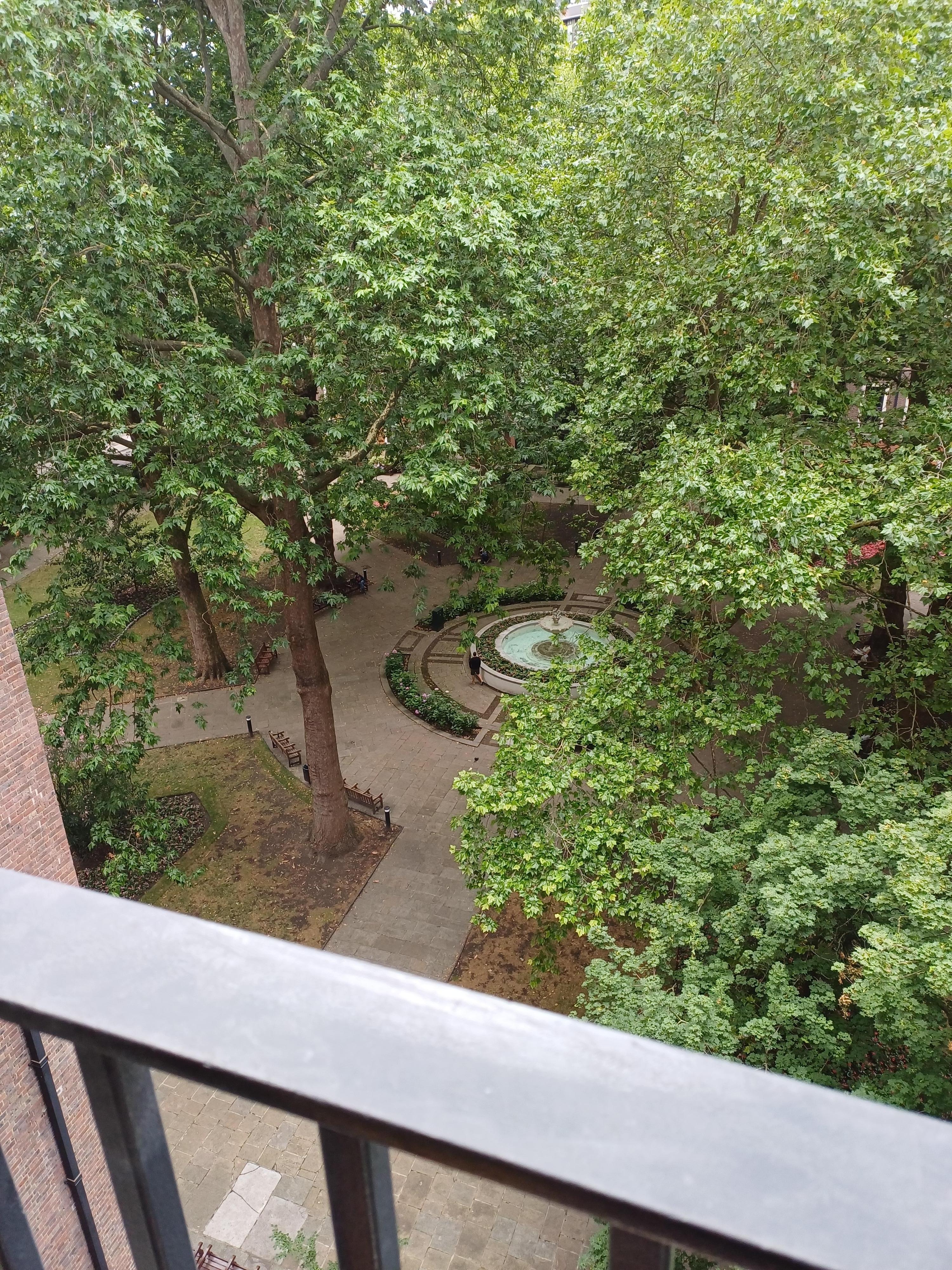 View from the living room