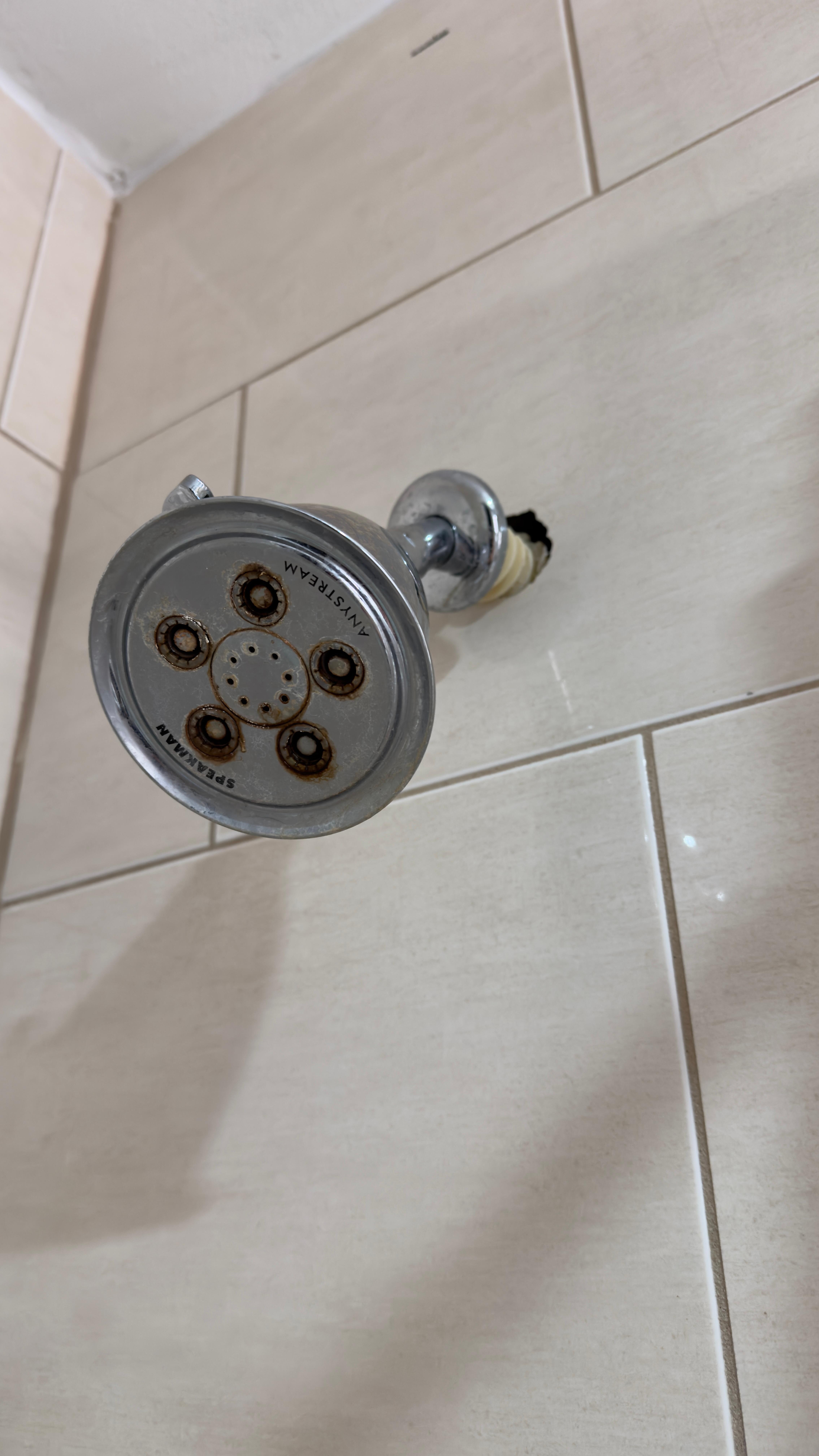 Rusted shower head