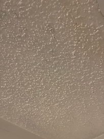 Moldy ceiling in 2nd room