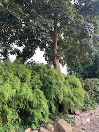 Terrassenblick