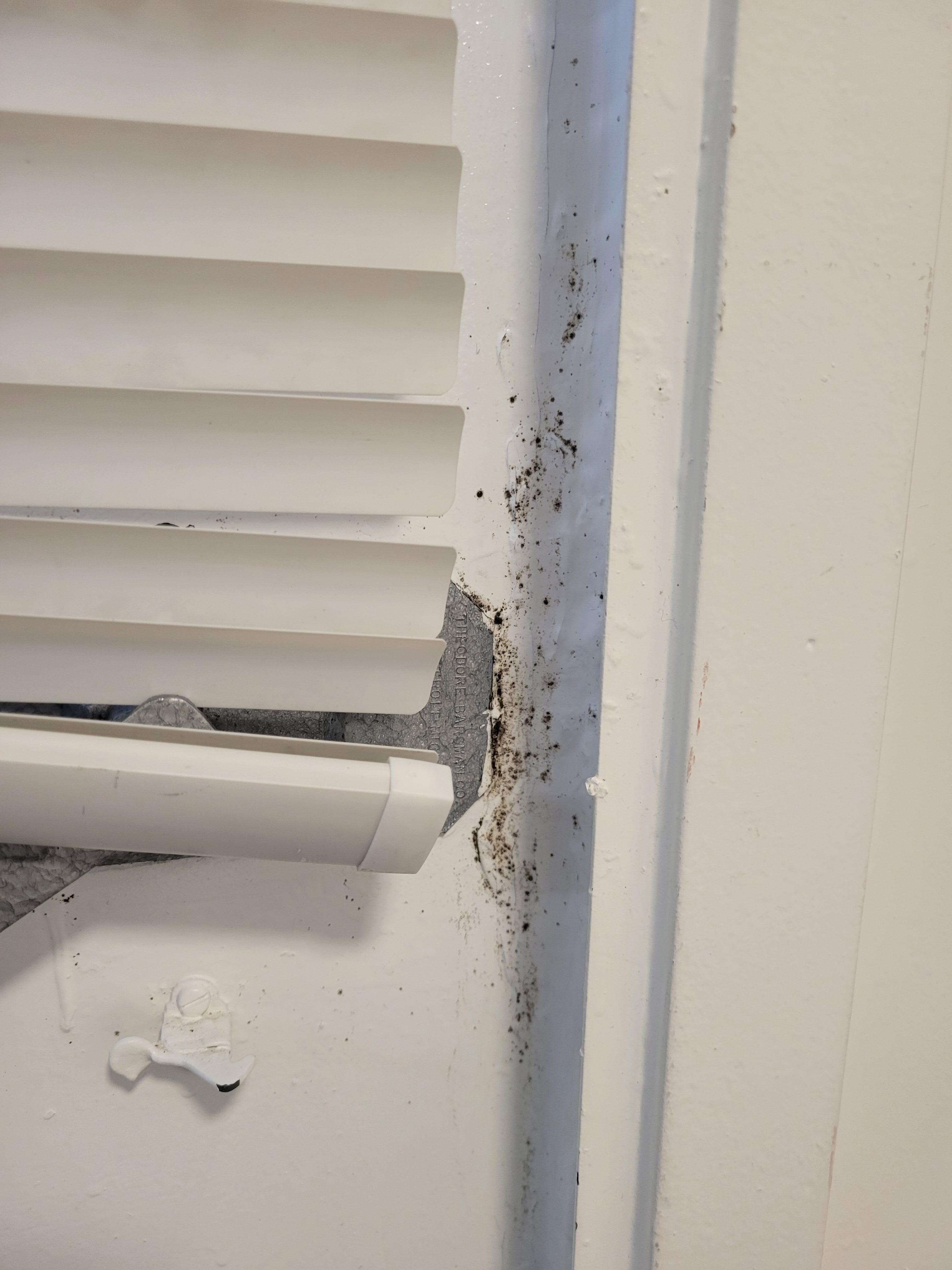 Mold on the door