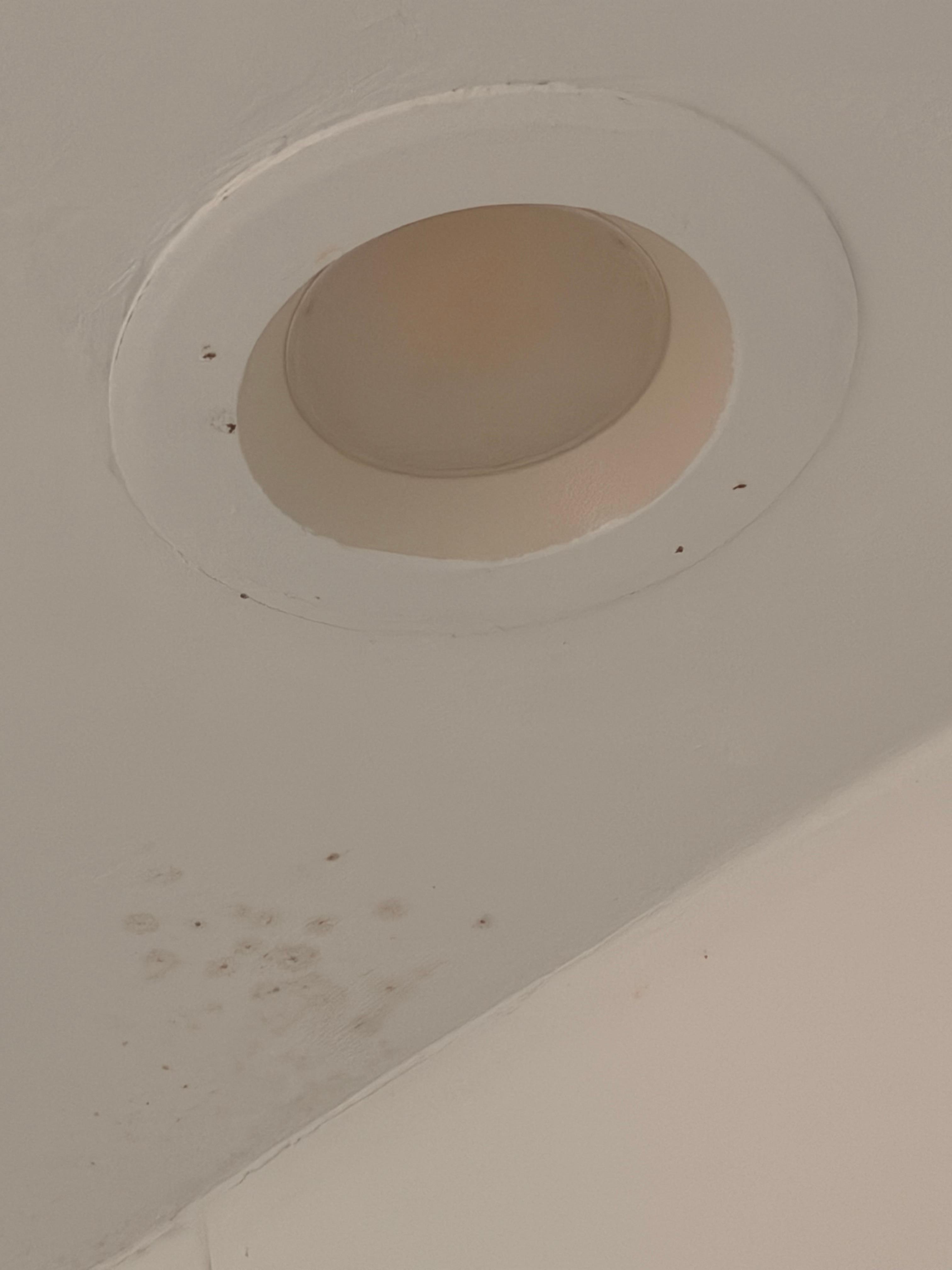 Mold on shower ceiling