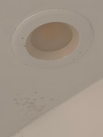 Mold on shower ceiling