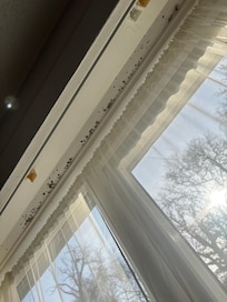 Mold around window
