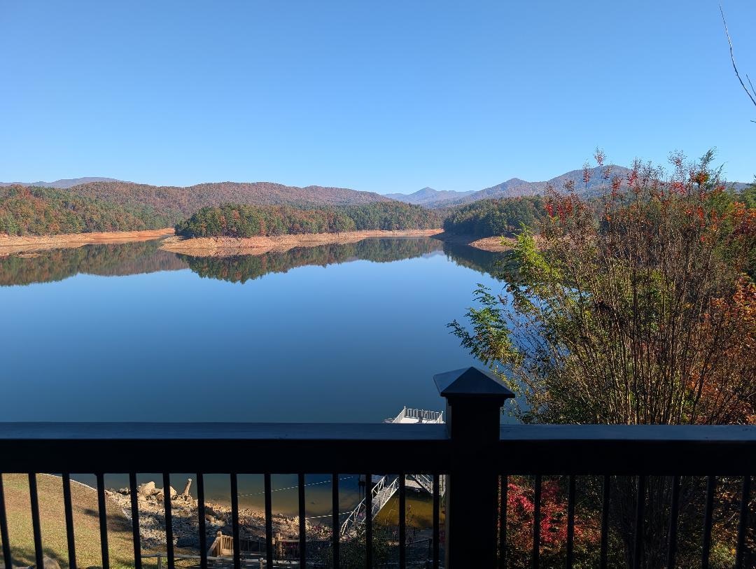 Back porch morning view