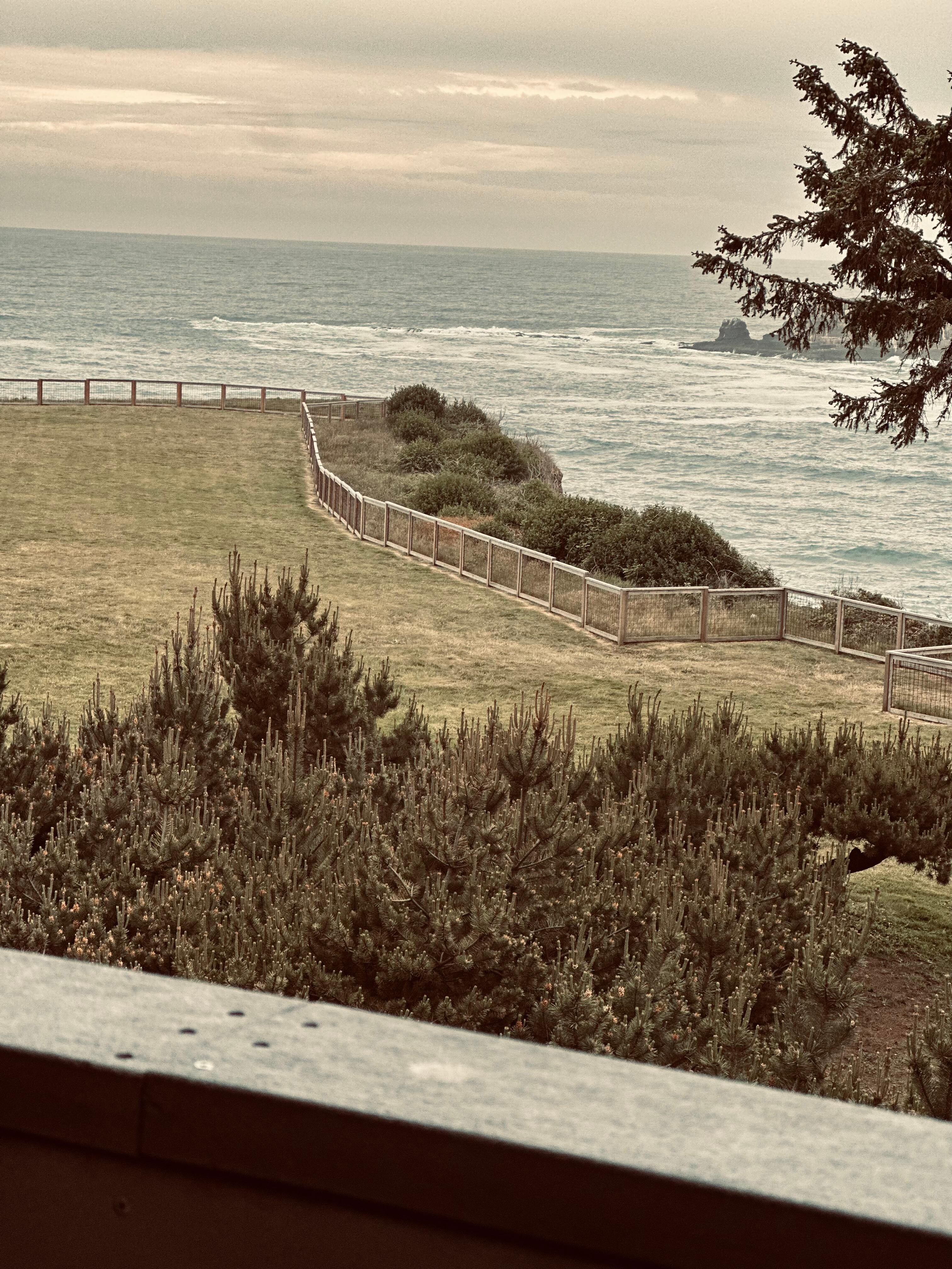 View from the room