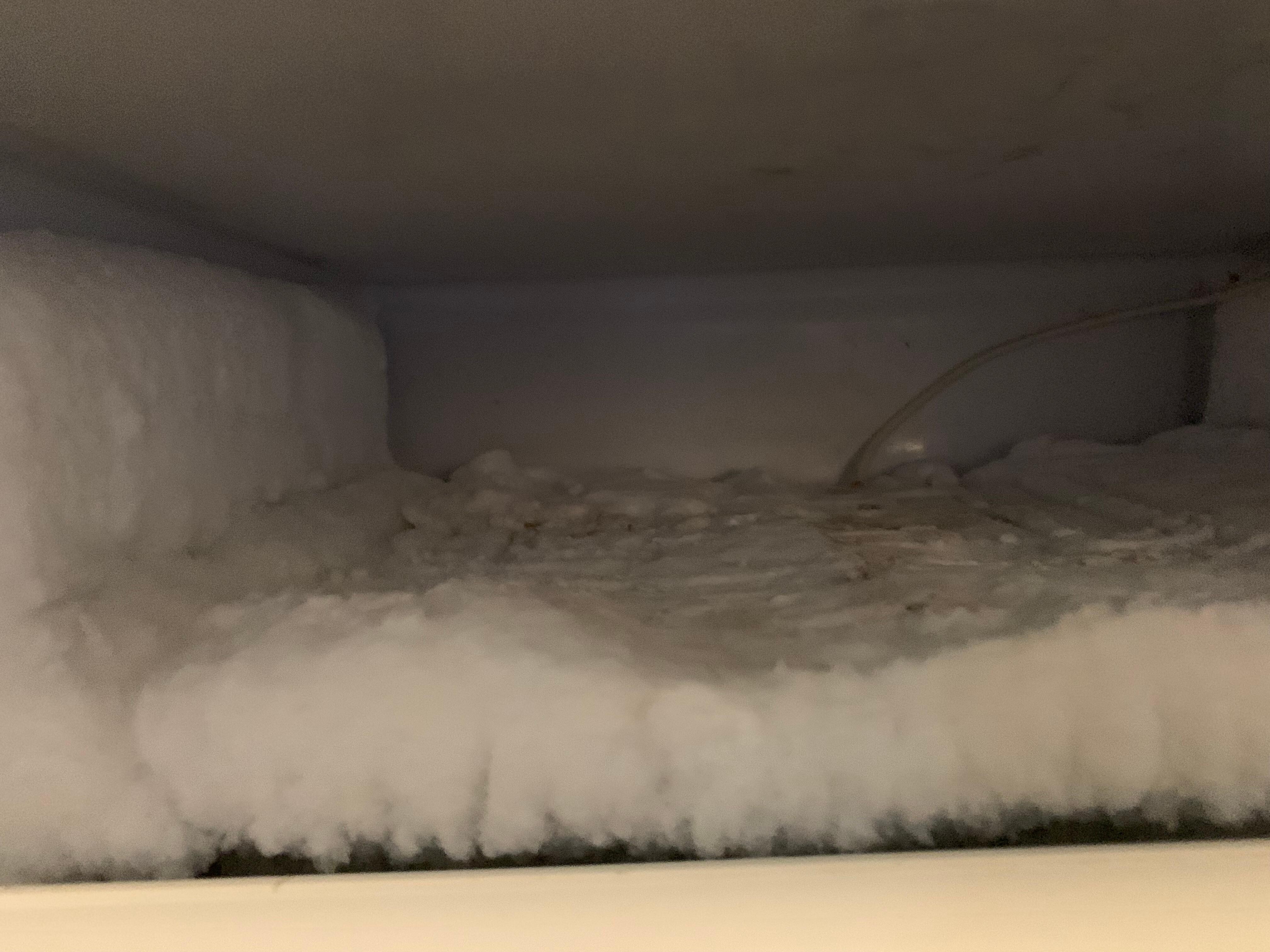 Fridge icebox totally froze up