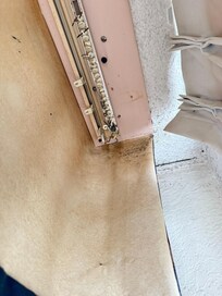 Mold growing behind curtains